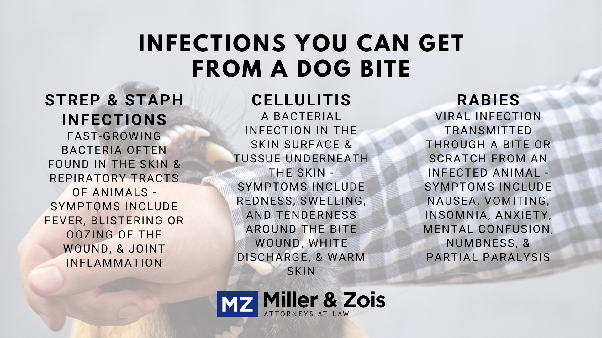 can puppy bites get infected