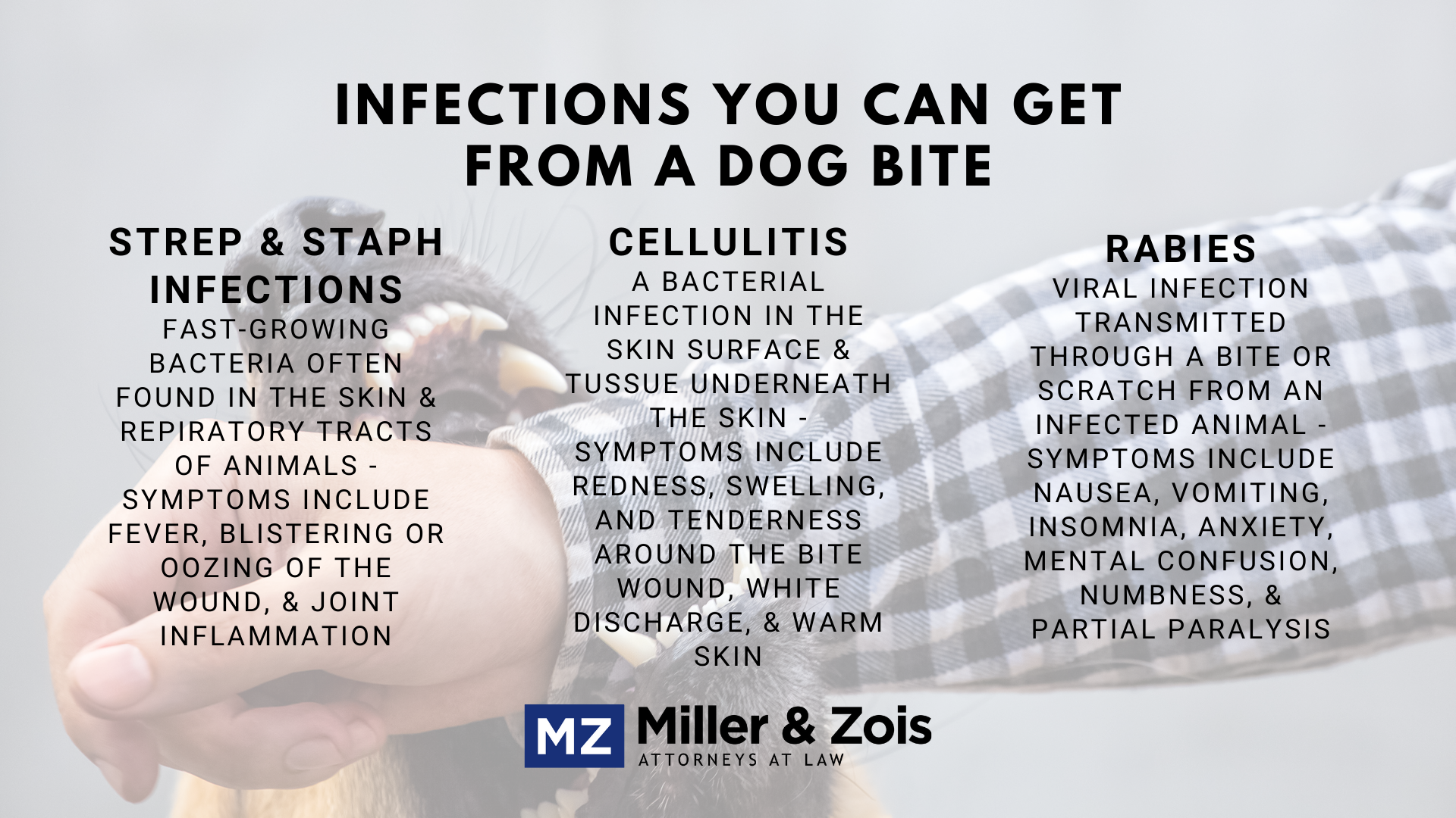 Infections You Can Get from a Dog Bite and Case Settlement Value — Maryland  Accident Lawyer Blog